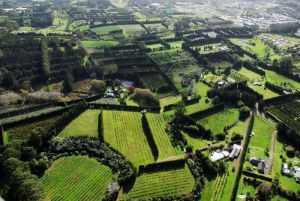 06Jun2015080618Kerikeri outskirts.jpg